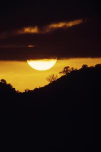 Kenya Tramonto nella Savana