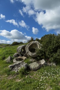 Martis Foresta Carrucana