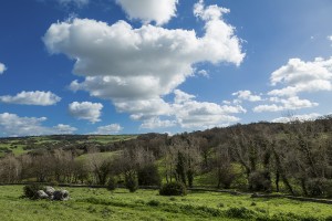 Martis Foresta Carrucana