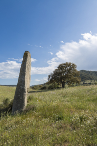 Menhir Sa Perda Longa Tortolì 