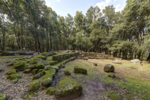 Parco Archeologico Bosco Seleni - Lanusei - Tomba dei Giganti II 