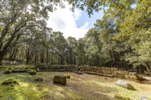 Parco Archeologico Bosco Seleni - Lanusei - Tomba dei Giganti II 
