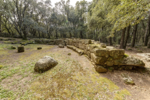 Parco Archeologico Bosco Seleni - Lanusei - Tomba dei Giganti II 