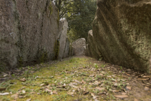 Parco Archeologico Bosco Seleni - Lanusei - Tomba dei Giganti I (4)