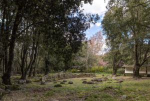 Parco Archeologico Bosco Seleni - Lanusei - Tomba dei Giganti I 