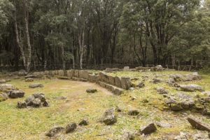 Parco Archeologico Bosco Seleni - Lanusei - Tomba dei Giganti I 