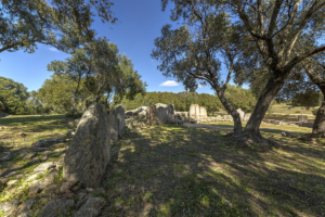 Tomba dei Giganti di Su Mont'e e s'Abe Olbia 