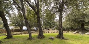 Tomba dei Giganti e Tempio di Sa Carcaredda Villagrande Strisaili 