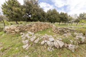 Tomba dei Giganti e Tempio di Sa Carcaredda Villagrande Strisaili 