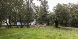 Tomba dei Giganti e Tempio di Sa Carcaredda Villagrande Strisaili 